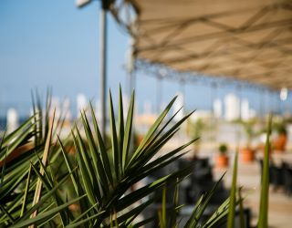 Гостиничный комплекс "Бухта Мечты"